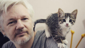 어산지, 고양이 잘못 돌봐 쫓겨나나… 에콰도르 법원, 대사관측 손들어줘