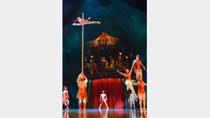 한계 뛰어넘은 고난도 묘기… 예술 그 자체