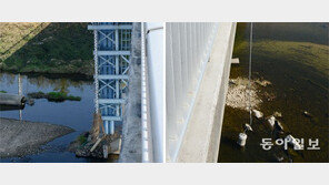 ‘물관리 일원화’ 5개월 지났는데… 여전히 수질 따로 수량 따로 관리