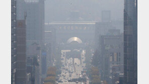 “마스크 쓰세요” 수도권·충남·호남 미세먼지 ‘나쁨’…농도 더 악화