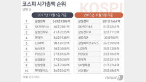 “한때 투톱이었는데” 현대차 시총 10위권도 위태