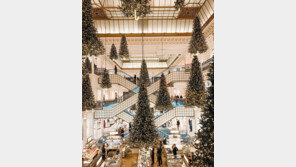   패션 브랜드 파인드카푸어, 르봉 마르쉐 백화점에 팝업 스토어 오픈