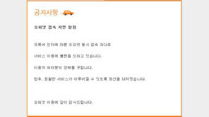 ‘유류세 인하 첫날’ 오피넷 접속 폭주→사이트 먹통…불만 쇄도