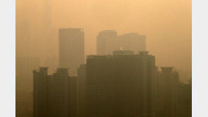 서울 미세먼지 비상저감조치…노후차 몰면 과태료 10만원 첫 단속