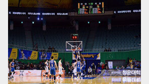 ‘관중수 902명’ 명승부에도 미세먼지에 울어야 하는 프로농구