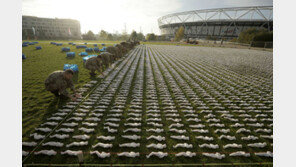 병력 부족에 허덕이는 英-獨…“용병이라도 데려와야할 판”