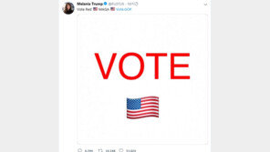 “나가서 공화당원 찍어라!”…트럼프 노골적인 트윗 유세