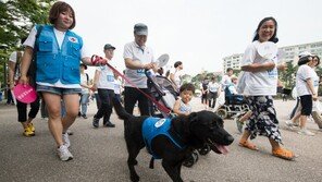 “개 데리고 나오지 마시오”…길거리 산책 금지령