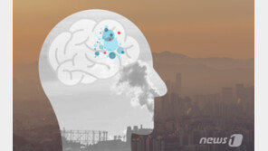 미세먼지 5일간 노출되면 ‘뇌속 염증’ 30% 늘어난다