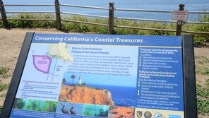 LA총영사관 “한국인 3명, 해안가 야생 다육식물 밀반출하려다 체포”