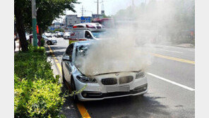 BMW 화재 “EGR 밸브가 원인?”