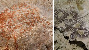 5만2000년전 손바닥… 현인류 最古 동굴벽화