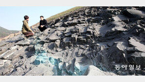 “울릉도 석간주-포항 뇌록 전통안료 재료 광물 찾아 명맥 끊긴 단청 복원을”