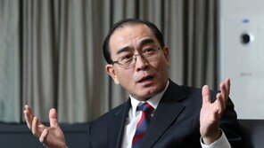 태영호 “리선권 ‘냉면 목구멍’, 좋은 의도로 웃자고 한 말… 이 정도서 정리”