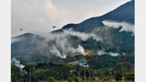 “산불내면 3년 이하 징역, 3000만원 이하 벌금”…산불 주의보