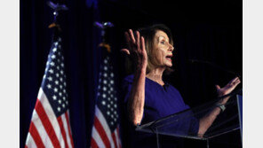 8년 만에 하원 탈환 美민주당, 내부서 의장 선출 두고 ‘펠로시 비토’ 기류