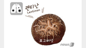 中 칭다오대 연구진 “표고버섯 하루 1개, 폐암치료 효과 1.5배 높인다”