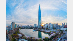 롯데월드타워, 12월 계열사 입주…공실률 60%→30%대로