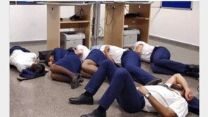 [영상]‘맨바닥 취침’ 가짜 사진 연출 남녀 승무원 6명 해고, CCTV보니…