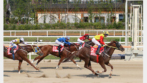 서울-부경 시리즈 최후의 승자는?