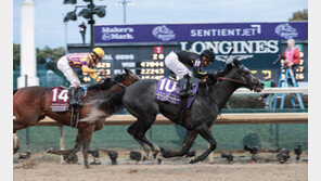 잘 키운 말 한 마리, 300억 원 경제효과 창출
