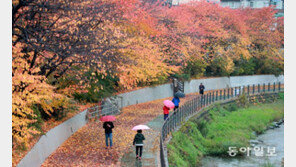 가을이 저만치 가네