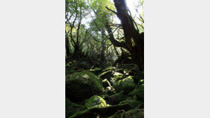 조르고 찌르고 독까지 살포, 지독한 전투의 주인공은…