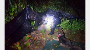 119 인명구조견 ‘바람’, 호우 속 야산서 쓰러진 80대 노인 극적 구조