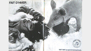 ‘세계에서 가장 비싼 작가’ 쿤스 또 표절…“1억9000만 원 배상하라” 판결