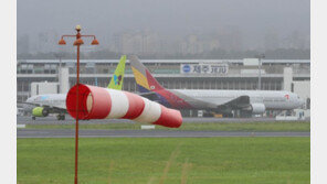 김포행 아시아나 항공기 기체결함으로 회항…승객 290여명 불편