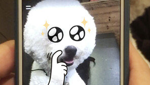  오디너리랩스, 반려인들이 주목해야 할 반려동물 카메라 앱 ‘푸미’ 출시