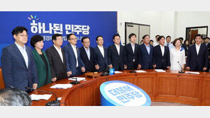 민주당 ‘특위·TF’만 20여개…취지 좋지만 실효성 ‘의문’