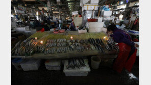 노량진 구시장 상인 131곳 잔류…수협 “강제철거 불가피”