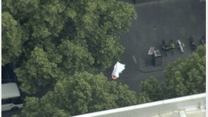 호주 멜버른서 칼로 행인들 중상입힌 남자 사살…‘테러’로 수사