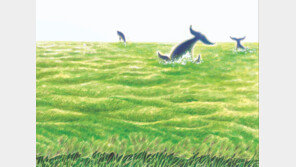 [그림책 한조각]보리바다