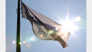 삼성, 英 ‘미래 브랜드’ 가치 조사서 세계 9위…韓 기업 중 유일