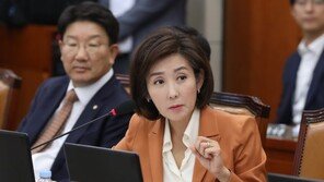 나경원, 文정부 비판 지속…“대한민국 정부임을 포기”
