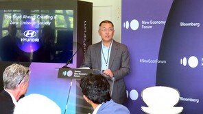 정의선 부회장 “수소에너지, 교통 넘어 글로벌경제 견인”