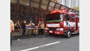 서울 올림픽대로서 택시, 조경 작업하던 인부들 덮쳐…2명 사망