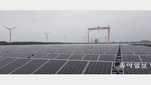 정부규제에 인허가만 1년7개월… 24개 기관과 15단계 절차 거쳐