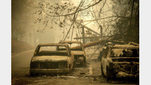 美 캘리포니아 동시다발 산불… 25명 사망 110명 실종