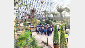 “온실 들어서니 외국 숲 온듯”… 한달 63만명 발길