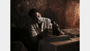 이집트서 6000년전 고양이 미라 발굴…고양이묘 부장품 쏟아져