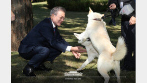 文대통령 “北 선물 풍산개, 새끼 6마리 낳아 ‘큰 행운’…남북관계 이와 같기만”