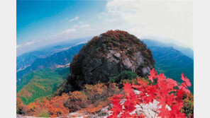  ‘태양의 땅’ 광양(光陽), 백운산 단풍이 물들다