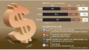 트럼프에 찍힌 러시아-中-유럽, ‘킹 달러’에 반기 들지만…