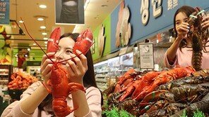 “미국산 랍스터 맛보세요”