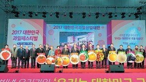 사과잼 만들고, 배-귤 선물 받고… 우리 과일 즐기러 가자!