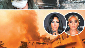 할리우드 스타들도 美캘리포니아 산불 피해