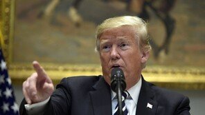 트럼프 중간선거 ‘사기’ 주장, 2020년 대선 패배시 불복 포석?